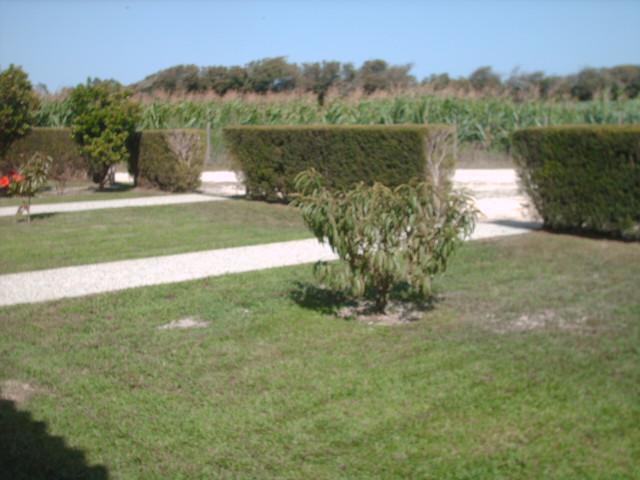 Penzion Quinta Da Bunheira Rogil Exteriér fotografie